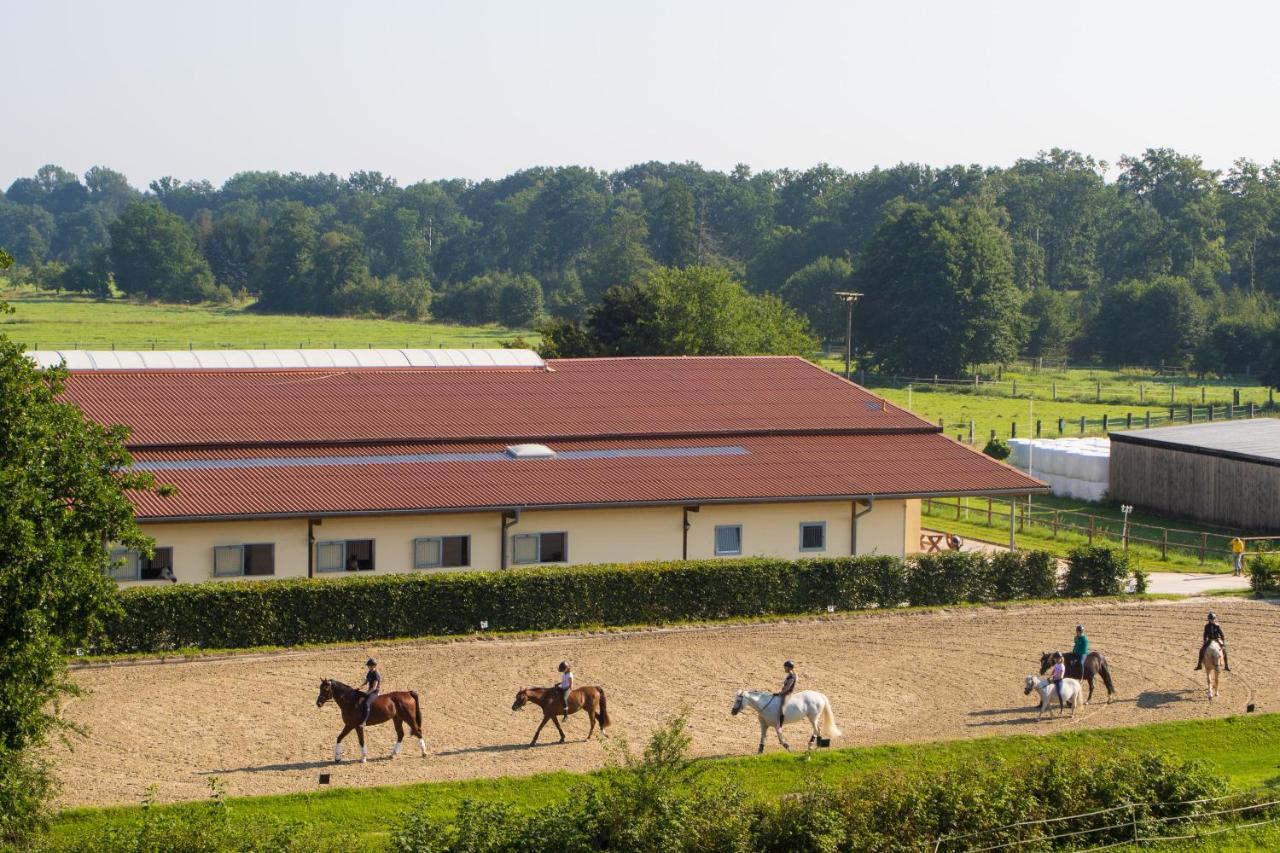 Heidegut Eschede Reitsportanlage Und Feriendorf ภายนอก รูปภาพ