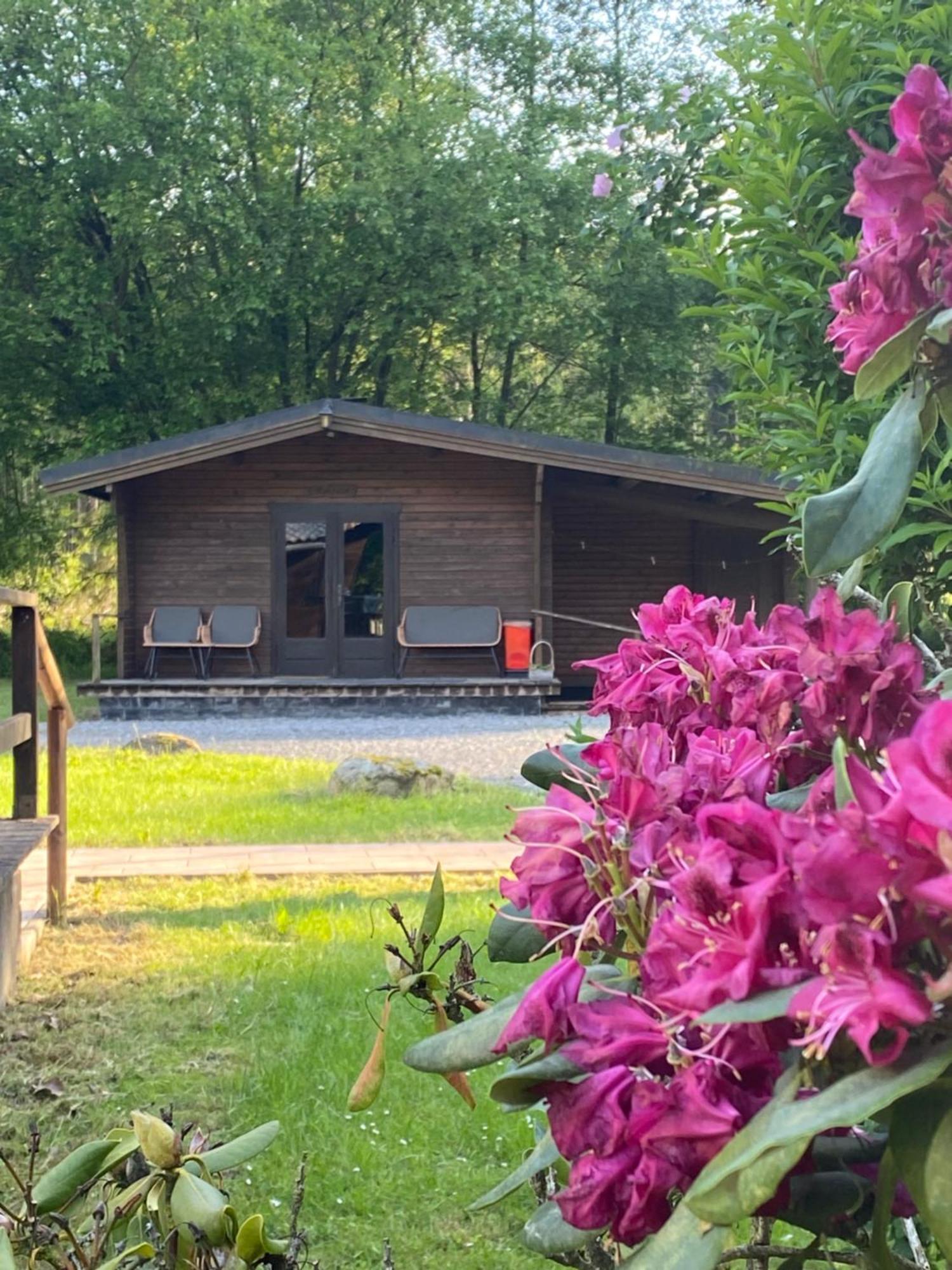 Heidegut Eschede Reitsportanlage Und Feriendorf ภายนอก รูปภาพ