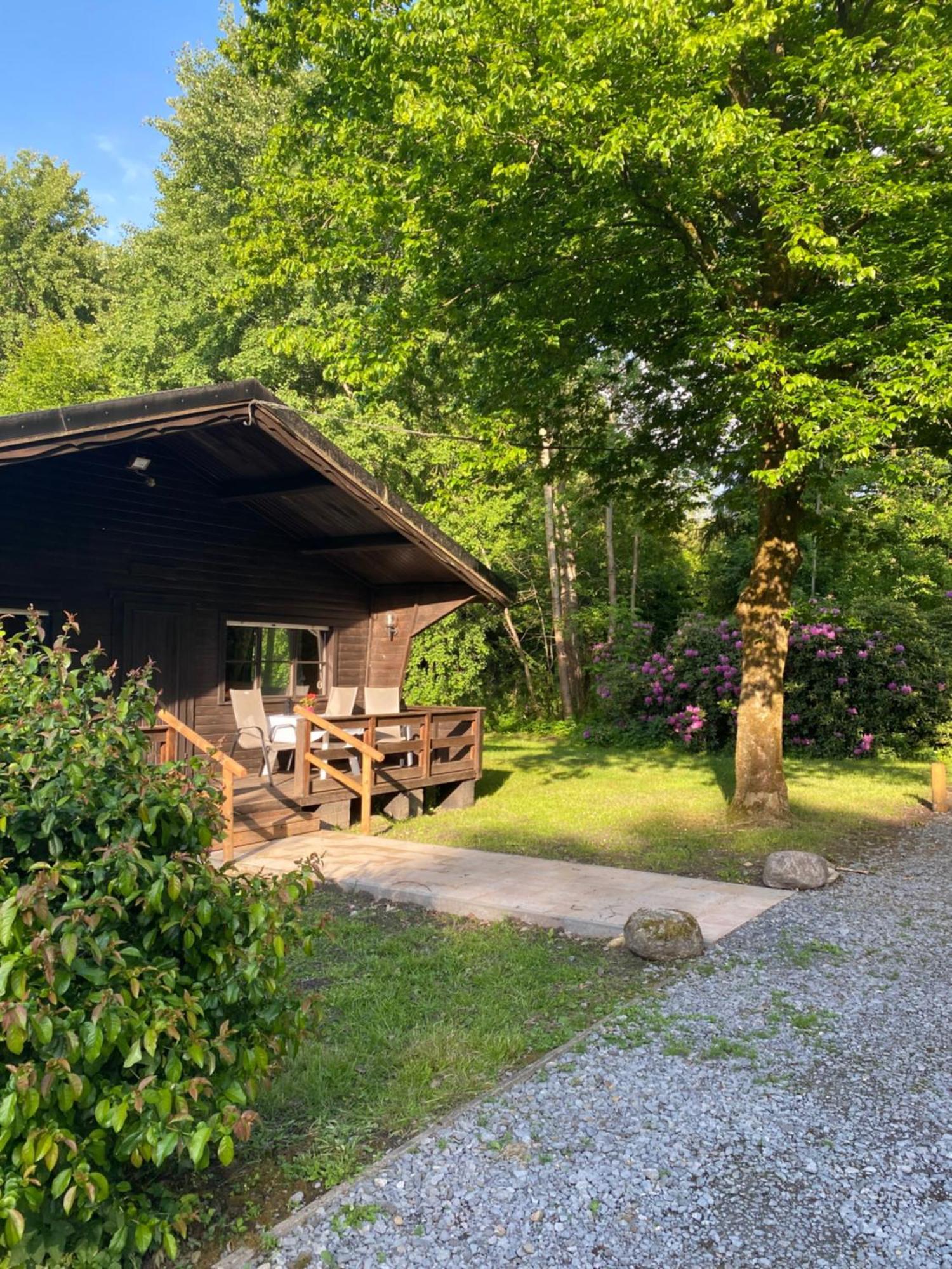 Heidegut Eschede Reitsportanlage Und Feriendorf ภายนอก รูปภาพ