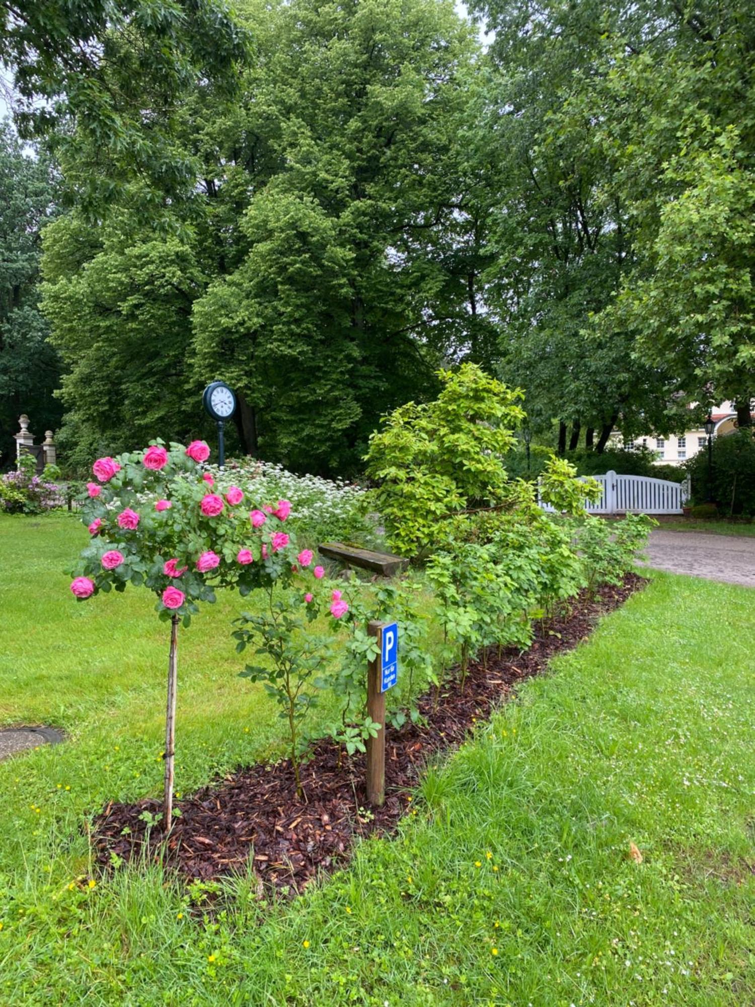 Heidegut Eschede Reitsportanlage Und Feriendorf ภายนอก รูปภาพ