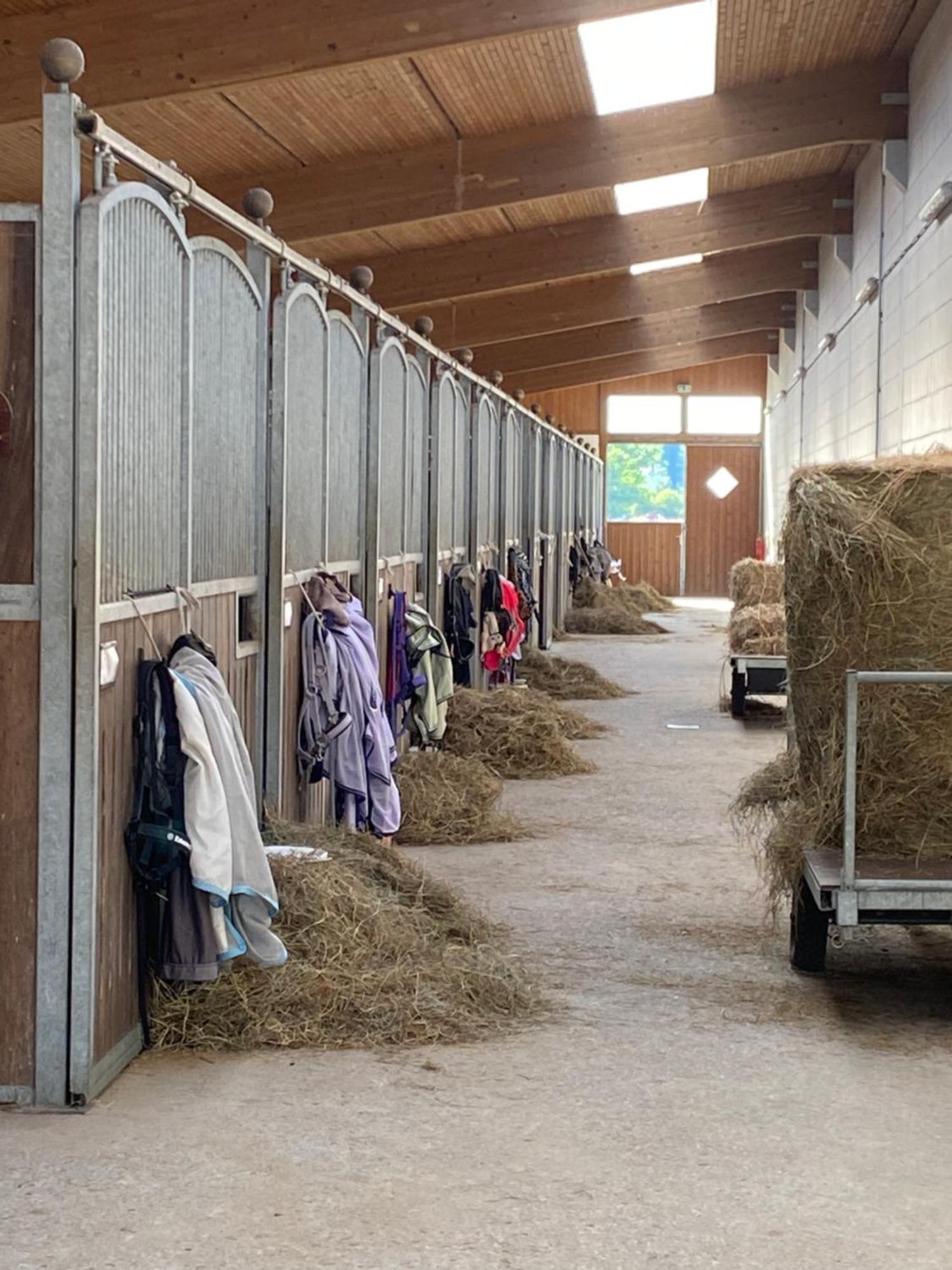 Heidegut Eschede Reitsportanlage Und Feriendorf ภายนอก รูปภาพ