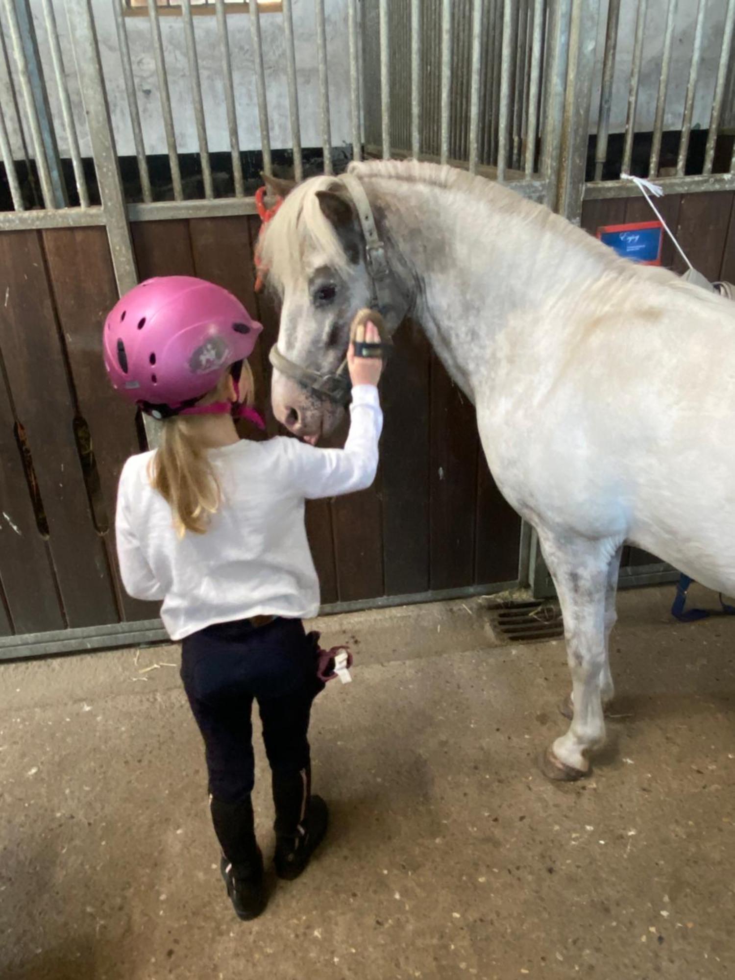 Heidegut Eschede Reitsportanlage Und Feriendorf ภายนอก รูปภาพ