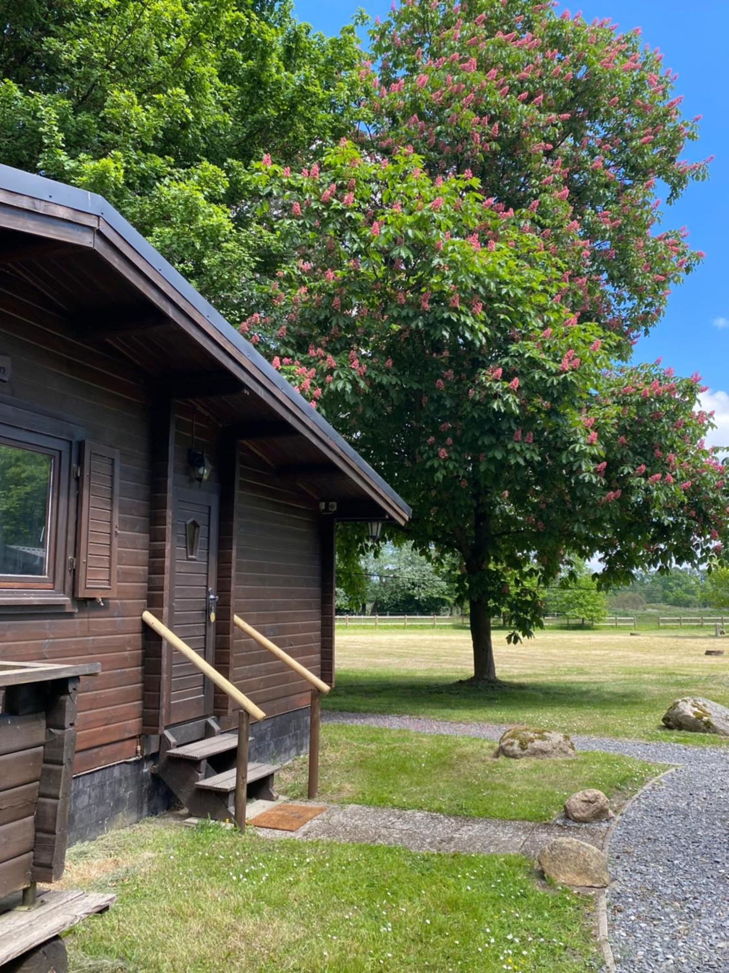 Heidegut Eschede Reitsportanlage Und Feriendorf ภายนอก รูปภาพ